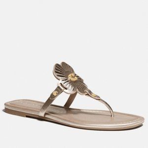 Coach JULIA SANDAL CHAMPAGNE 6.5 7 8 9